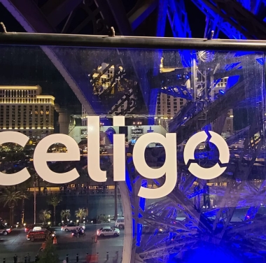 Venue Branding Glass Die Cut Lettering